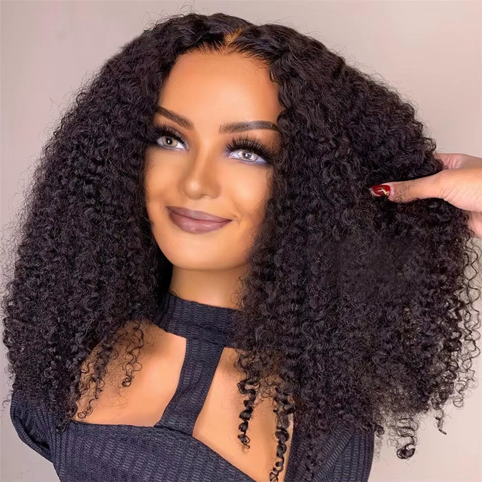 10A 100% Glueless Wigs Human Hair Wigs Ready to Wear Bleached Knots 6X4 Pre Cut HD Transparent Glueless Lace Wigs Kinky Curly